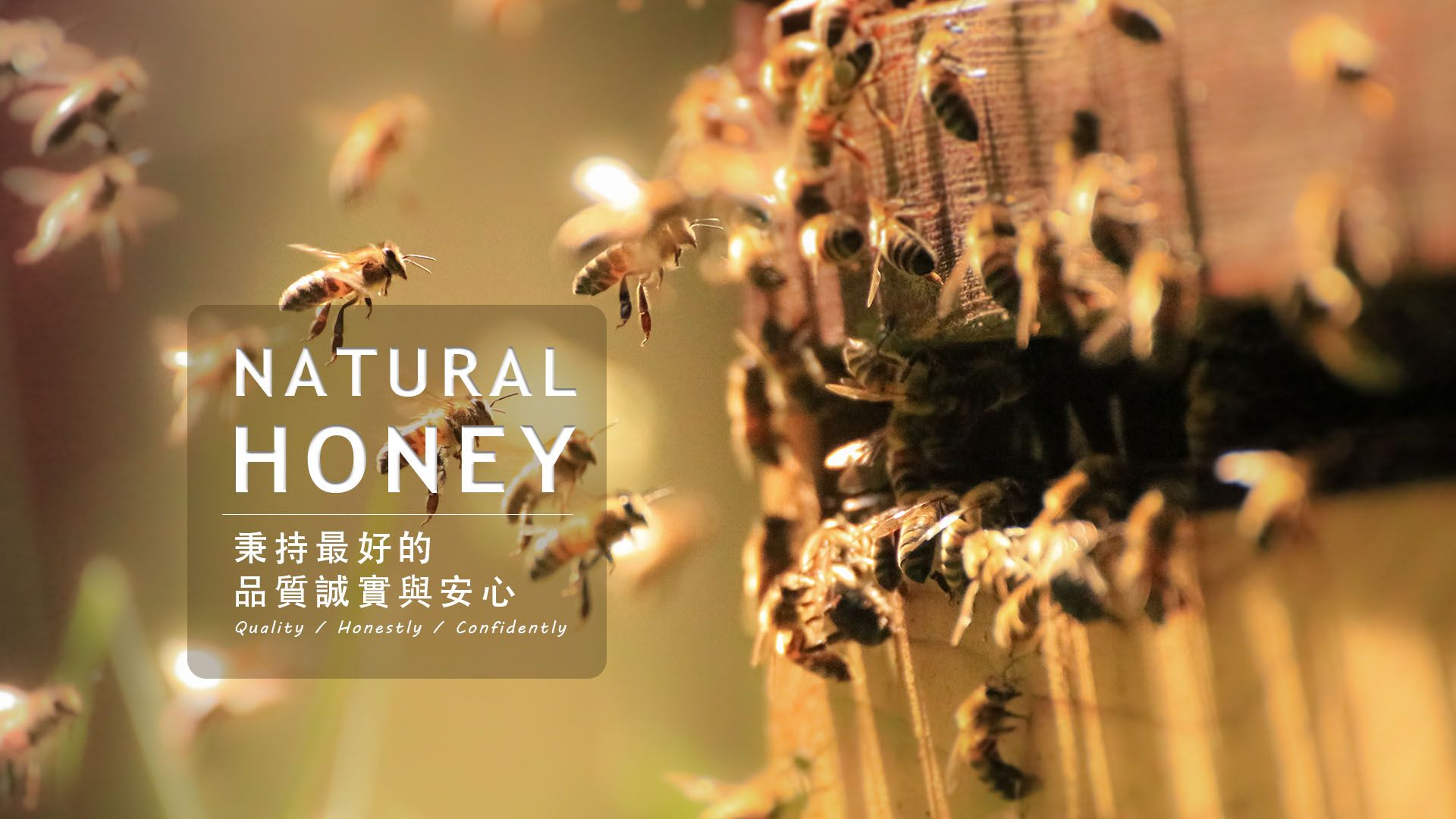三美養蜂場::唯一官方網站 [Official Website]
